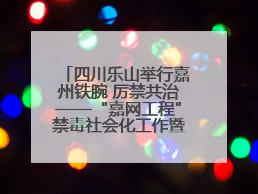四川乐山举行嘉州铁腕 厉禁共治——“嘉网工程”禁毒社会化工作暨毒品集中销毁启动仪式