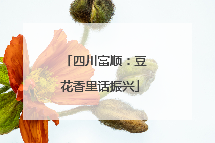 四川富顺：豆花香里话振兴