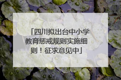 四川拟出台中小学教育惩戒规则实施细则！征求意见中
