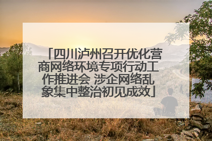 四川泸州召开优化营商网络环境专项行动工作推进会 涉企网络乱象集中整治初见成效