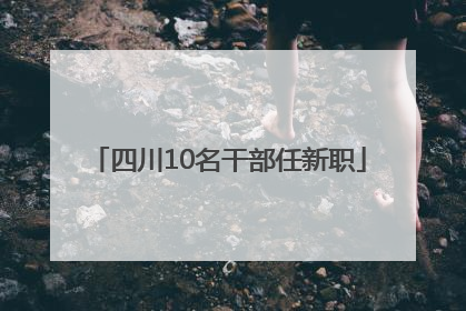 四川10名干部任新职