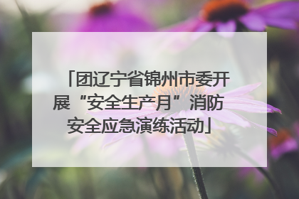 团辽宁省锦州市委开展“安全生产月”消防安全应急演练活动