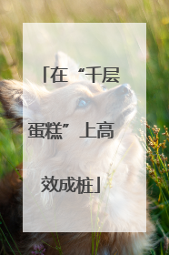 在“千层蛋糕”上高效成桩