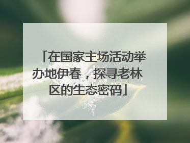 在国家主场活动举办地伊春，探寻老林区的生态密码