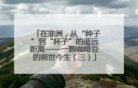 在非洲，从“种子”到“杯子”的遥远距离——一颗咖啡豆的前世今生（三）