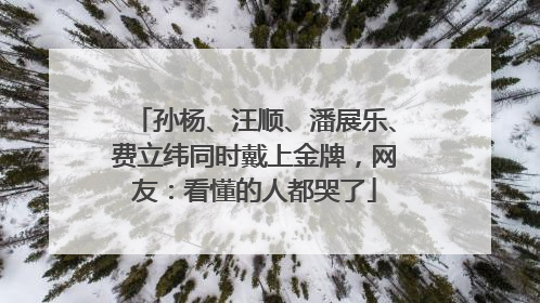 孙杨、汪顺、潘展乐、费立纬同时戴上金牌，网友：看懂的人都哭了