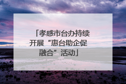 孝感市台办持续开展“惠台助企促融合”活动