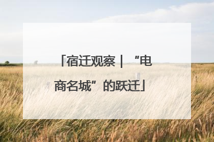 宿迁观察｜“电商名城”的跃迁