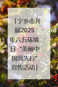 宁乡市开展2025年六五环境日“美丽中国我先行”宣传活动