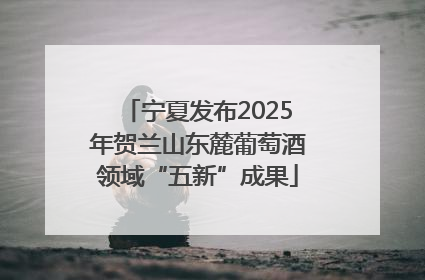 宁夏发布2025年贺兰山东麓葡萄酒领域“五新”成果