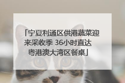 宁夏利通区供港蔬菜迎来采收季 36小时直达粤港澳大湾区餐桌