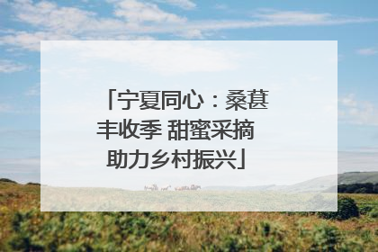 宁夏同心：桑葚丰收季 甜蜜采摘助力乡村振兴