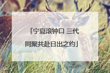 宁夏滚钟口 三代同聚共赴日出之约