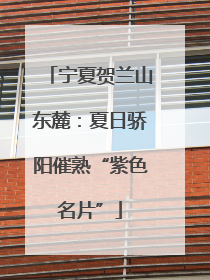宁夏贺兰山东麓：夏日骄阳催熟“紫色名片”