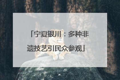 宁夏银川：多种非遗技艺引民众参观