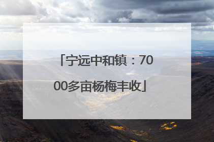 宁远中和镇：7000多亩杨梅丰收