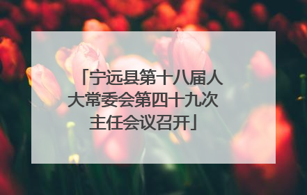 宁远县第十八届人大常委会第四十九次主任会议召开