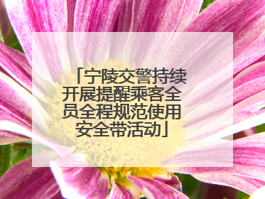 宁陵交警持续开展提醒乘客全员全程规范使用安全带活动
