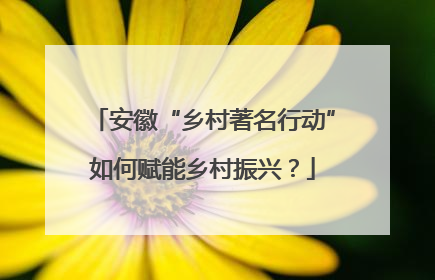 安徽“乡村著名行动”如何赋能乡村振兴？
