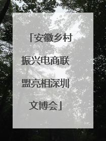 安徽乡村振兴电商联盟亮相深圳文博会