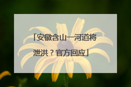 安徽含山一河道将泄洪？官方回应