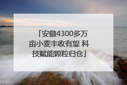 安徽4300多万亩小麦丰收有望 科技赋能颗粒归仓