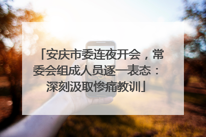 安庆市委连夜开会，常委会组成人员逐一表态：深刻汲取惨痛教训