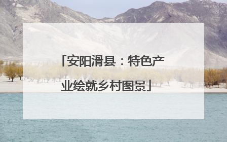 安阳滑县：特色产业绘就乡村图景