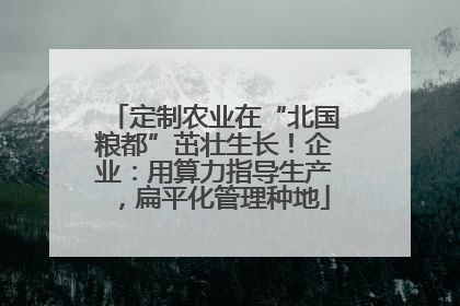 定制农业在“北国粮都”茁壮生长！企业：用算力指导生产，扁平化管理种地