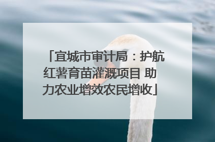 宜城市审计局：护航红薯育苗灌溉项目 助力农业增效农民增收