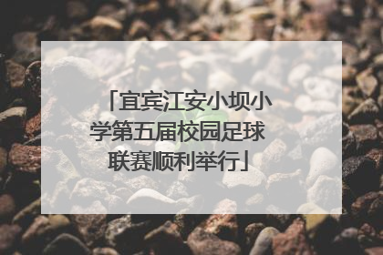 宜宾江安小坝小学第五届校园足球联赛顺利举行