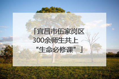 宜昌市伍家岗区300余师生共上“生命必修课”