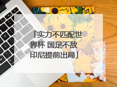 实力不匹配世界杯 国足不敌印尼提前出局