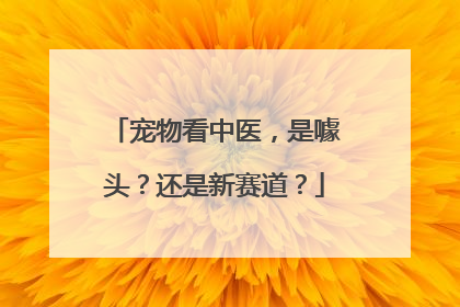 宠物看中医，是噱头？还是新赛道？