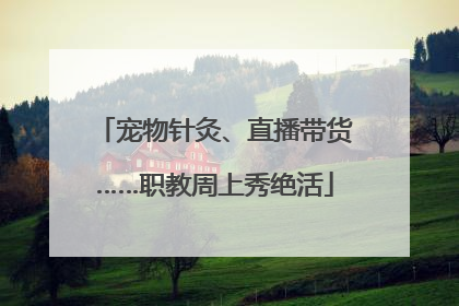 宠物针灸、直播带货……职教周上秀绝活
