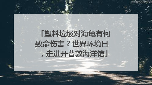 塑料垃圾对海龟有何致命伤害？世界环境日，走进开普敦海洋馆