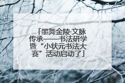 墨舞金陵·文脉传承——书法研学暨“小状元书法大赛”活动启动了