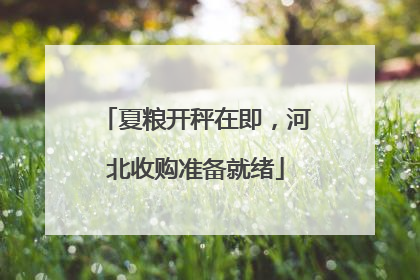 夏粮开秤在即，河北收购准备就绪