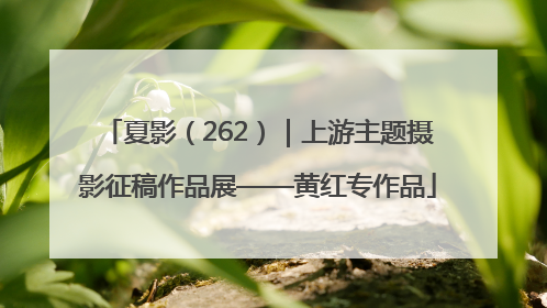 夏影（262）｜上游主题摄影征稿作品展——黄红专作品