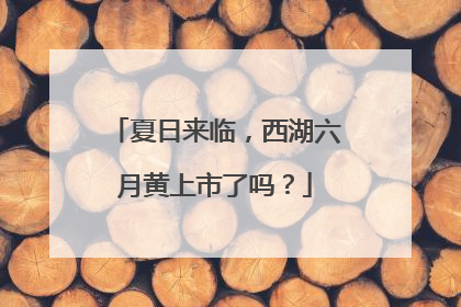 夏日来临，西湖六月黄上市了吗？
