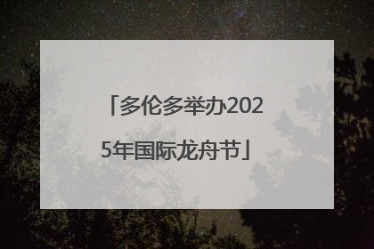 多伦多举办2025年国际龙舟节