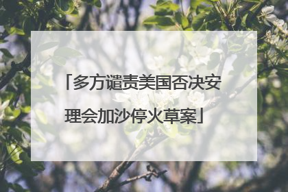 多方谴责美国否决安理会加沙停火草案