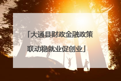 大通县财政金融政策联动稳就业促创业
