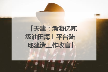 天津：渤海亿吨级油田海上平台陆地建造工作收官