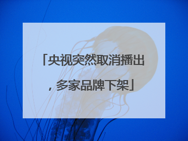 央视突然取消播出，多家品牌下架