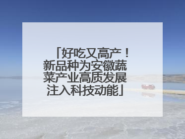 好吃又高产！新品种为安徽蔬菜产业高质发展注入科技动能