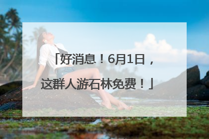 好消息！6月1日，这群人游石林免费！