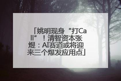 姚明现身“打Call”！清智资本张煜：AI赛道或将迎来三个爆发应用点