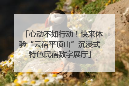 心动不如行动！快来体验“云宿平顶山”沉浸式特色民宿数字展厅