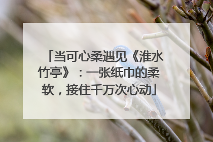 当可心柔遇见《淮水竹亭》：一张纸巾的柔软，接住千万次心动
